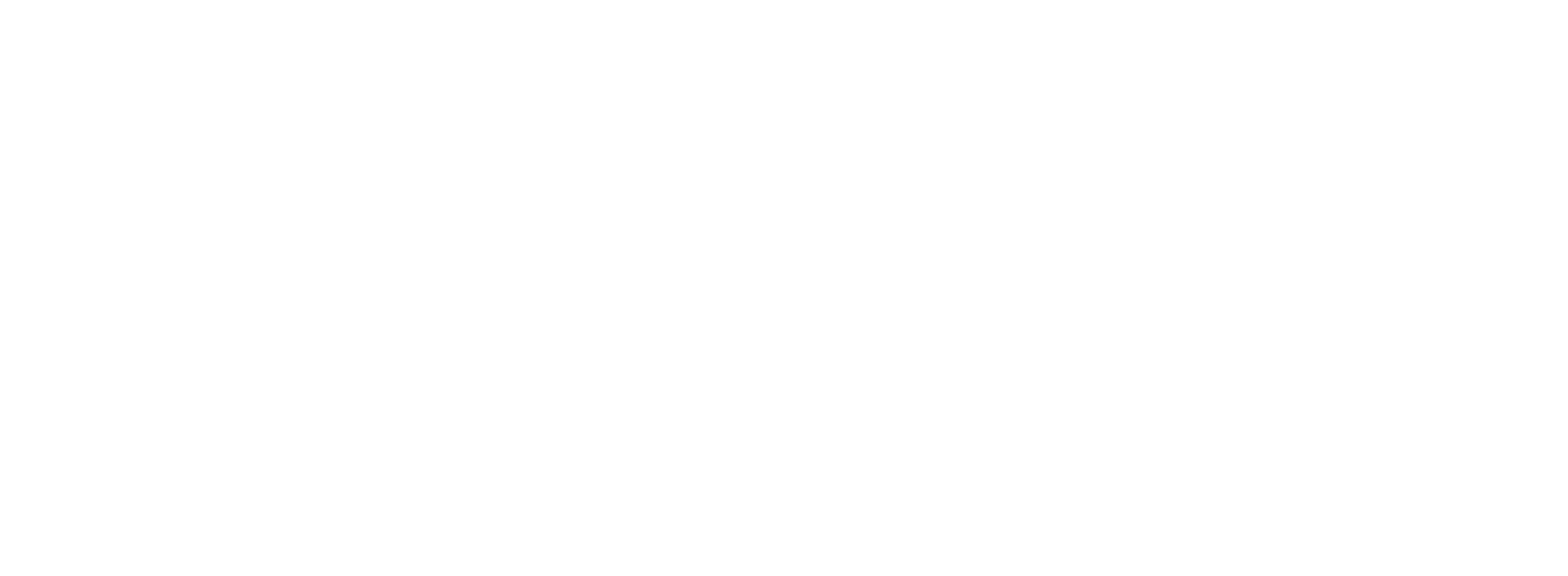 Pavana Travel
